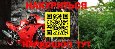 apvp Нальчик