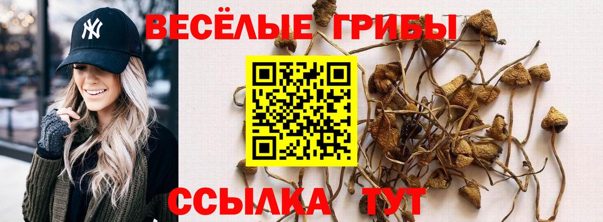 Галлюциногенные грибы Magic Shrooms  Вход с VPN  Псилоцибиновые грибы ЛСД  Улан-Удэ 