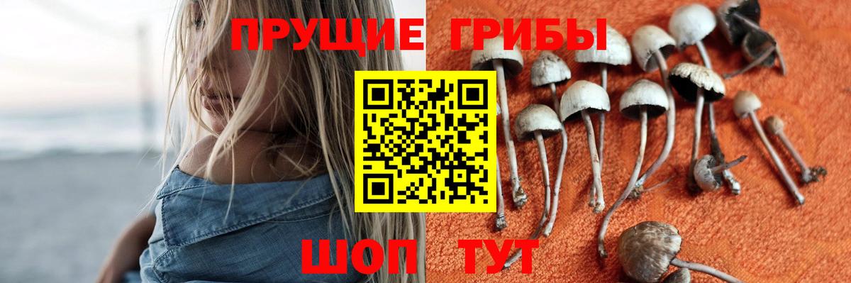 Псилоцибиновые грибы прущие грибы Улан-Удэ